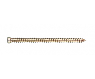 Cement screw (small head)